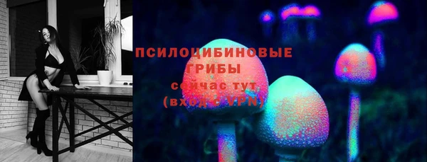 спиды Вязьма