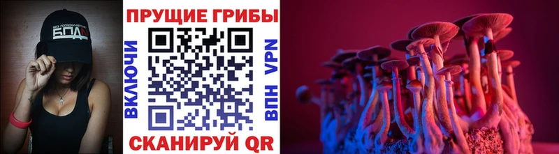 даркнет формула  купить закладку  Мичуринск  Галлюциногенные грибы мухоморы 