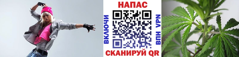 где купить   Мичуринск  Бошки Шишки тримм 